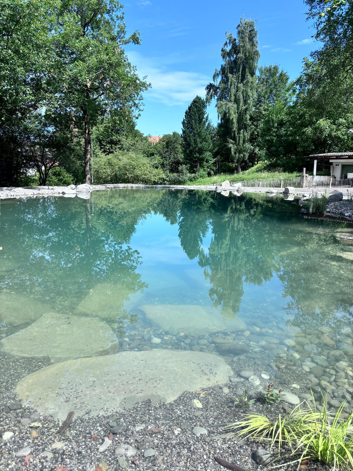 Natürlicher Teich mit üppigem Grün auf dem Gelände