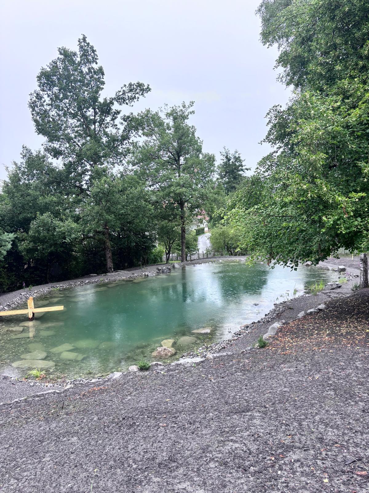 Ruhiger Teich von oben – Naturbad-Bereich der Anlage